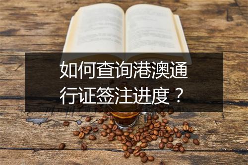 如何查询港澳通行证签注进度？