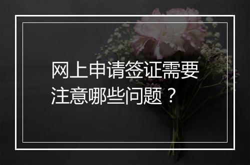 网上申请签证需要注意哪些问题？