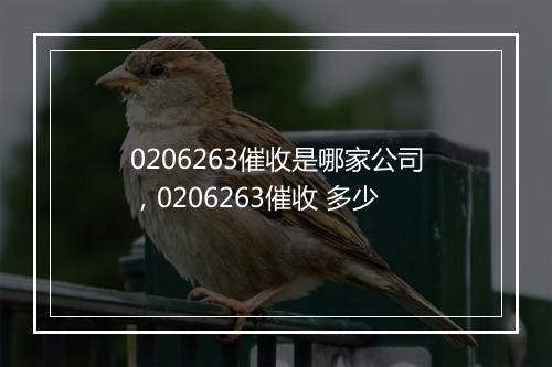 0206263催收是哪家公司，0206263催收 多少