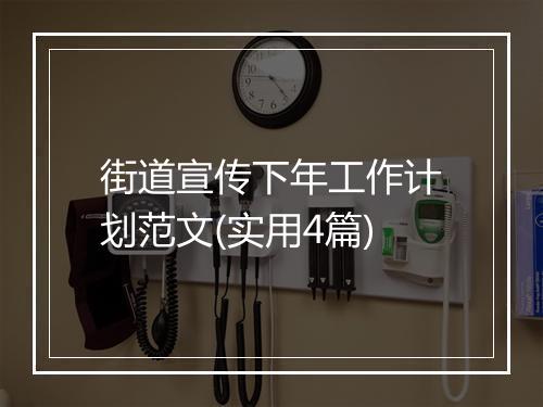街道宣传下年工作计划范文(实用4篇)