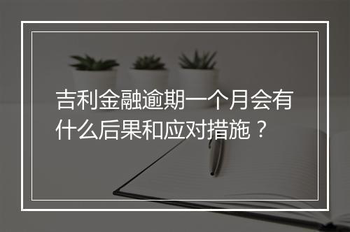 吉利金融逾期一个月会有什么后果和应对措施？