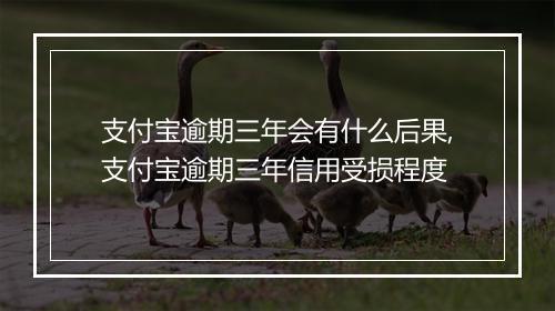 支付宝逾期三年会有什么后果,支付宝逾期三年信用受损程度