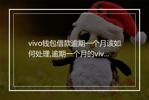 vivo钱包借款逾期一个月该如何处理,逾期一个月的vivo钱包借款有哪些后果