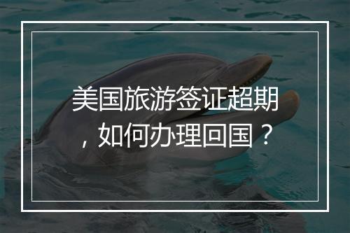 美国旅游签证超期，如何办理回国？