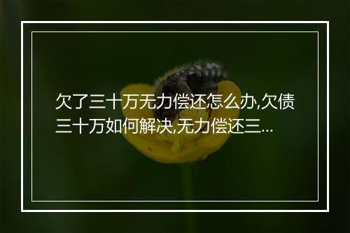 欠了三十万无力偿还怎么办,欠债三十万如何解决,无力偿还三十万债务应该怎么办