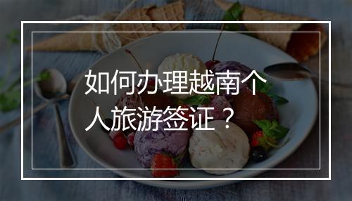 如何办理越南个人旅游签证？
