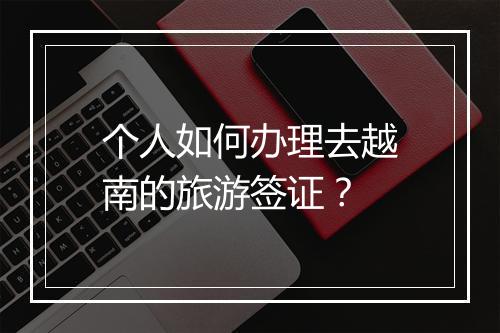 个人如何办理去越南的旅游签证？