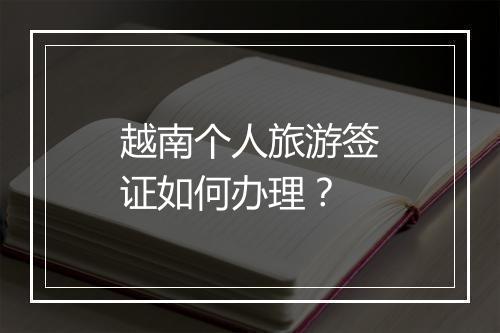 越南个人旅游签证如何办理？
