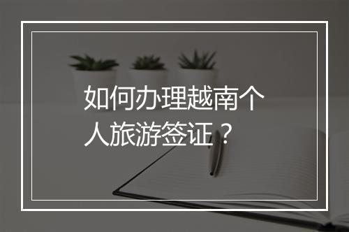 如何办理越南个人旅游签证？