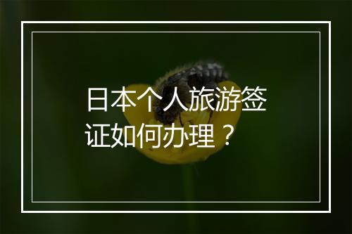 日本个人旅游签证如何办理？