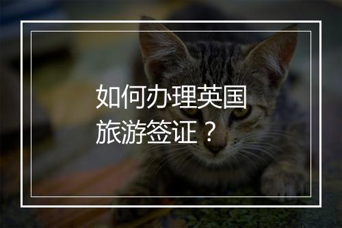 如何办理英国旅游签证？