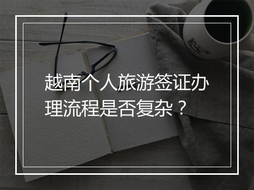 越南个人旅游签证办理流程是否复杂？