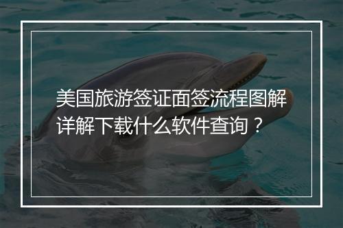 美国旅游签证面签流程图解详解下载什么软件查询？