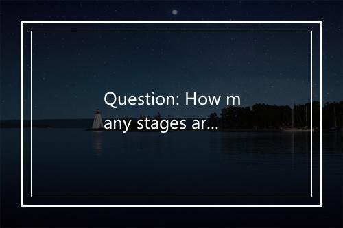 Question: How many stages are there in the labor dispute settlement process?