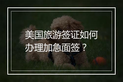 美国旅游签证如何办理加急面签？