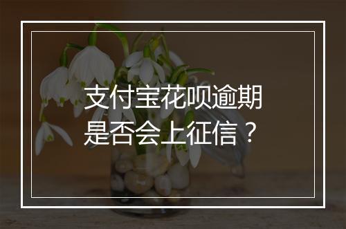 支付宝花呗逾期是否会上征信？