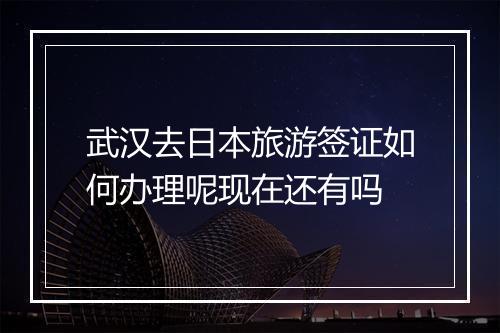 武汉去日本旅游签证如何办理呢现在还有吗