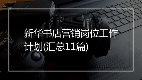 新华书店营销岗位工作计划(汇总11篇)