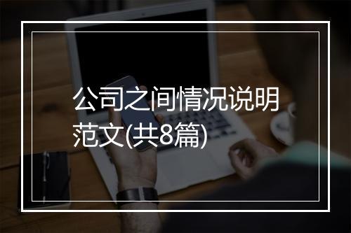 公司之间情况说明范文(共8篇)