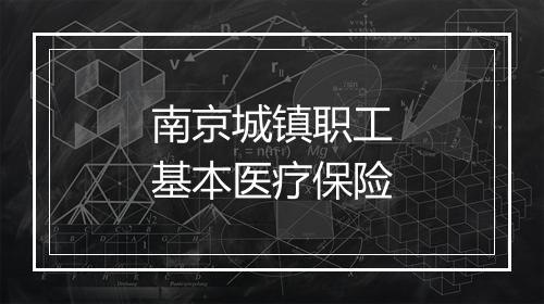 南京城镇职工基本医疗保险