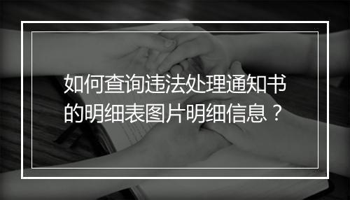 如何查询违法处理通知书的明细表图片明细信息？