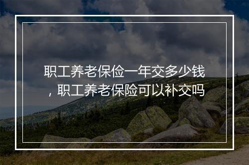 职工养老保俭一年交多少钱，职工养老保险可以补交吗