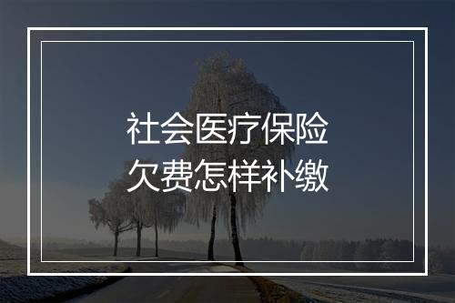 社会医疗保险欠费怎样补缴
