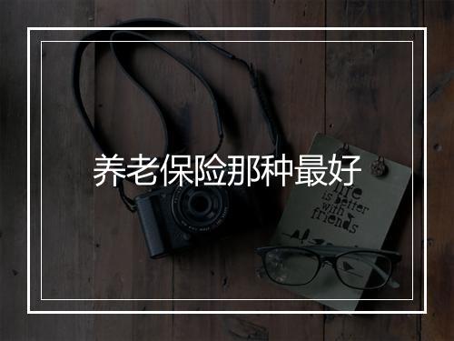 养老保险那种最好