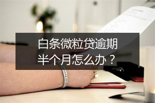 白条微粒贷逾期半个月怎么办？