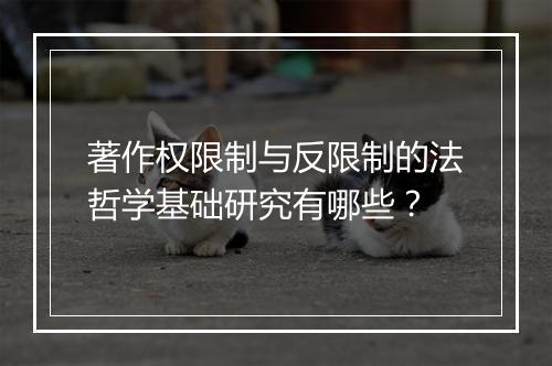 著作权限制与反限制的法哲学基础研究有哪些？