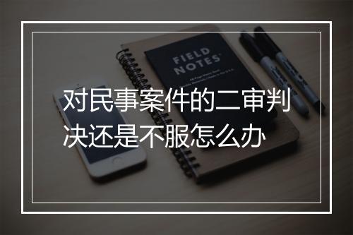 对民事案件的二审判决还是不服怎么办