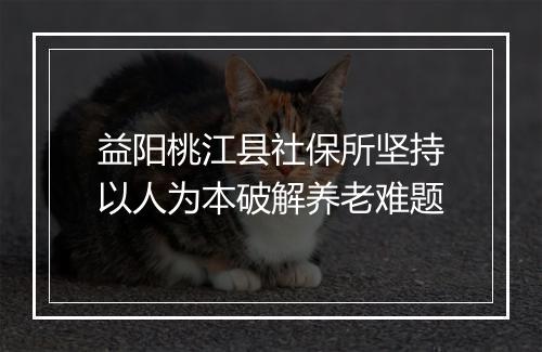 益阳桃江县社保所坚持以人为本破解养老难题