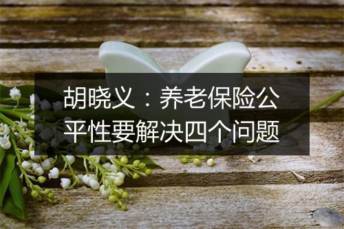胡晓义：养老保险公平性要解决四个问题