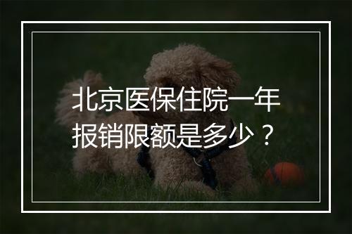 北京医保住院一年报销限额是多少？
