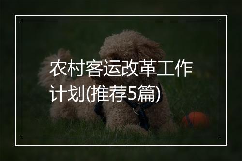 农村客运改革工作计划(推荐5篇)