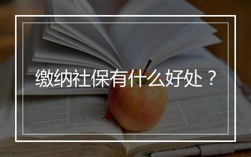 缴纳社保有什么好处？