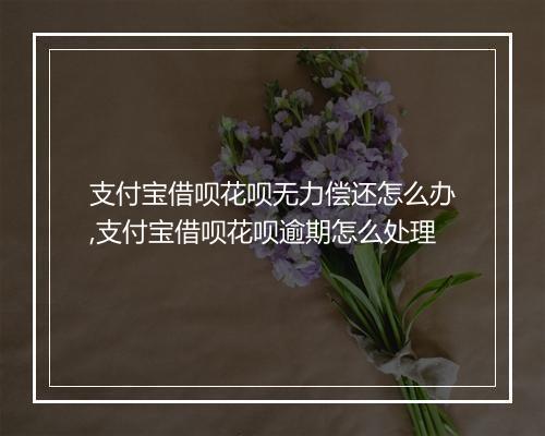 支付宝借呗花呗无力偿还怎么办,支付宝借呗花呗逾期怎么处理
