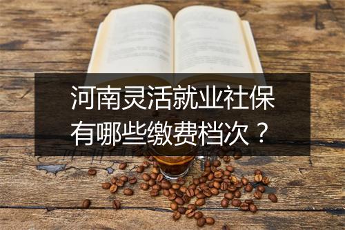 河南灵活就业社保有哪些缴费档次？