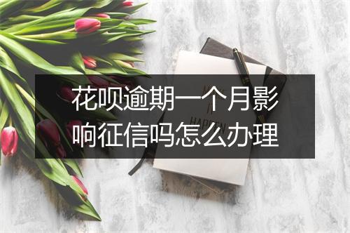 花呗逾期一个月影响征信吗怎么办理