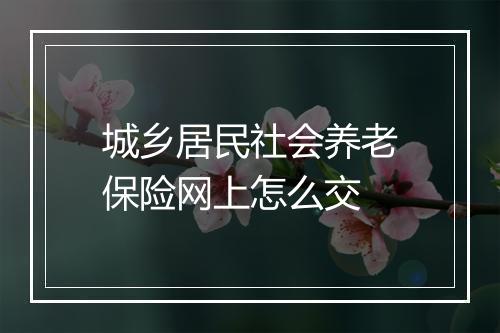城乡居民社会养老保险网上怎么交