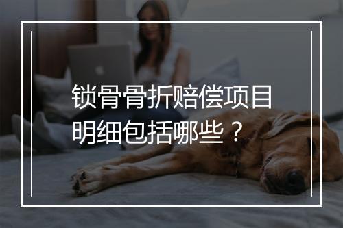 锁骨骨折赔偿项目明细包括哪些？