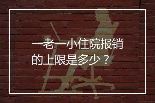 一老一小住院报销的上限是多少？