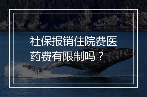 社保报销住院费医药费有限制吗？