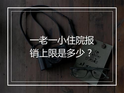 一老一小住院报销上限是多少？