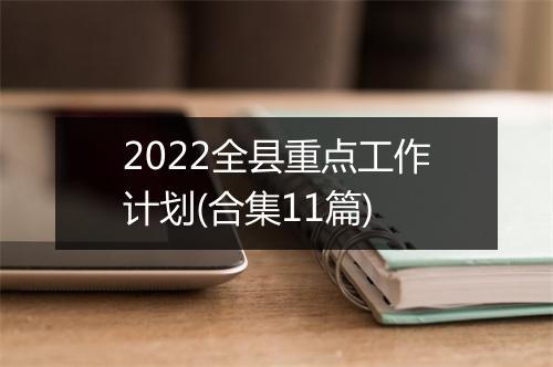 2022全县重点工作计划(合集11篇)