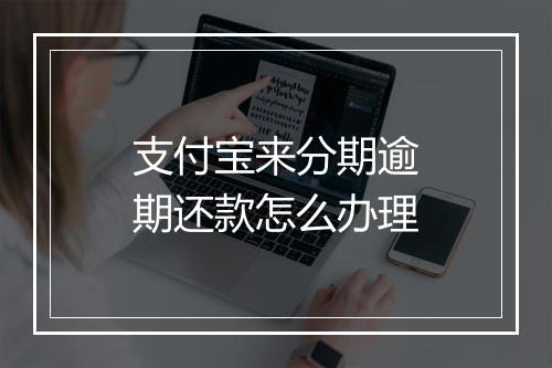支付宝来分期逾期还款怎么办理