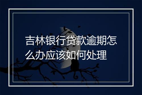 吉林银行贷款逾期怎么办应该如何处理