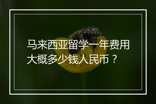 马来西亚留学一年费用大概多少钱人民币？