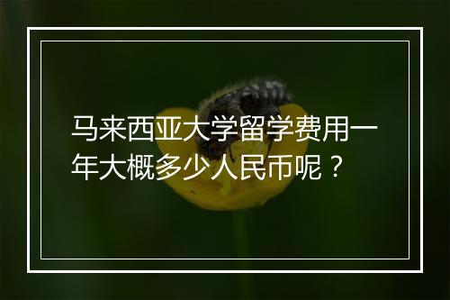 马来西亚大学留学费用一年大概多少人民币呢？