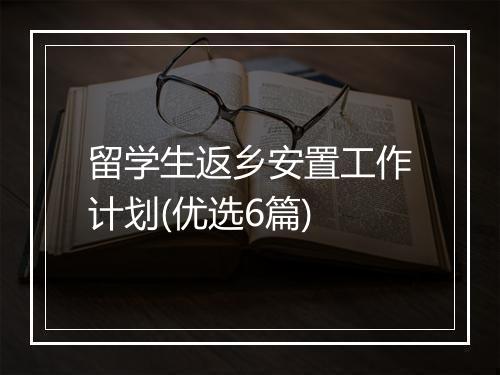 留学生返乡安置工作计划(优选6篇)